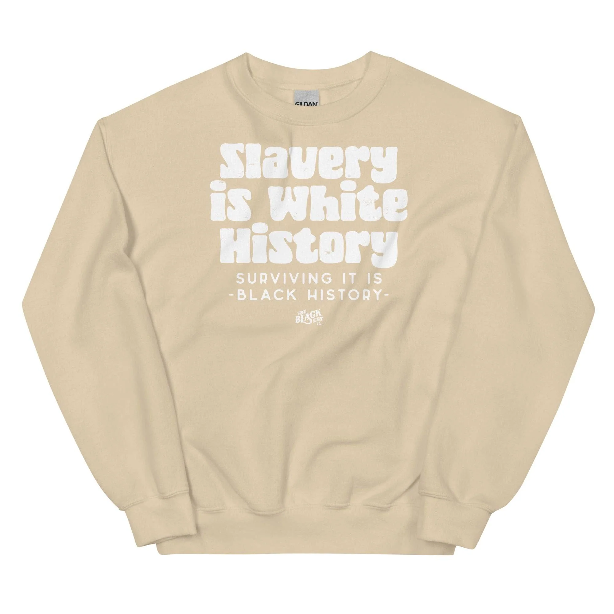 ALLY VERSION Slavery Is White History Sweatshirt - Image 8