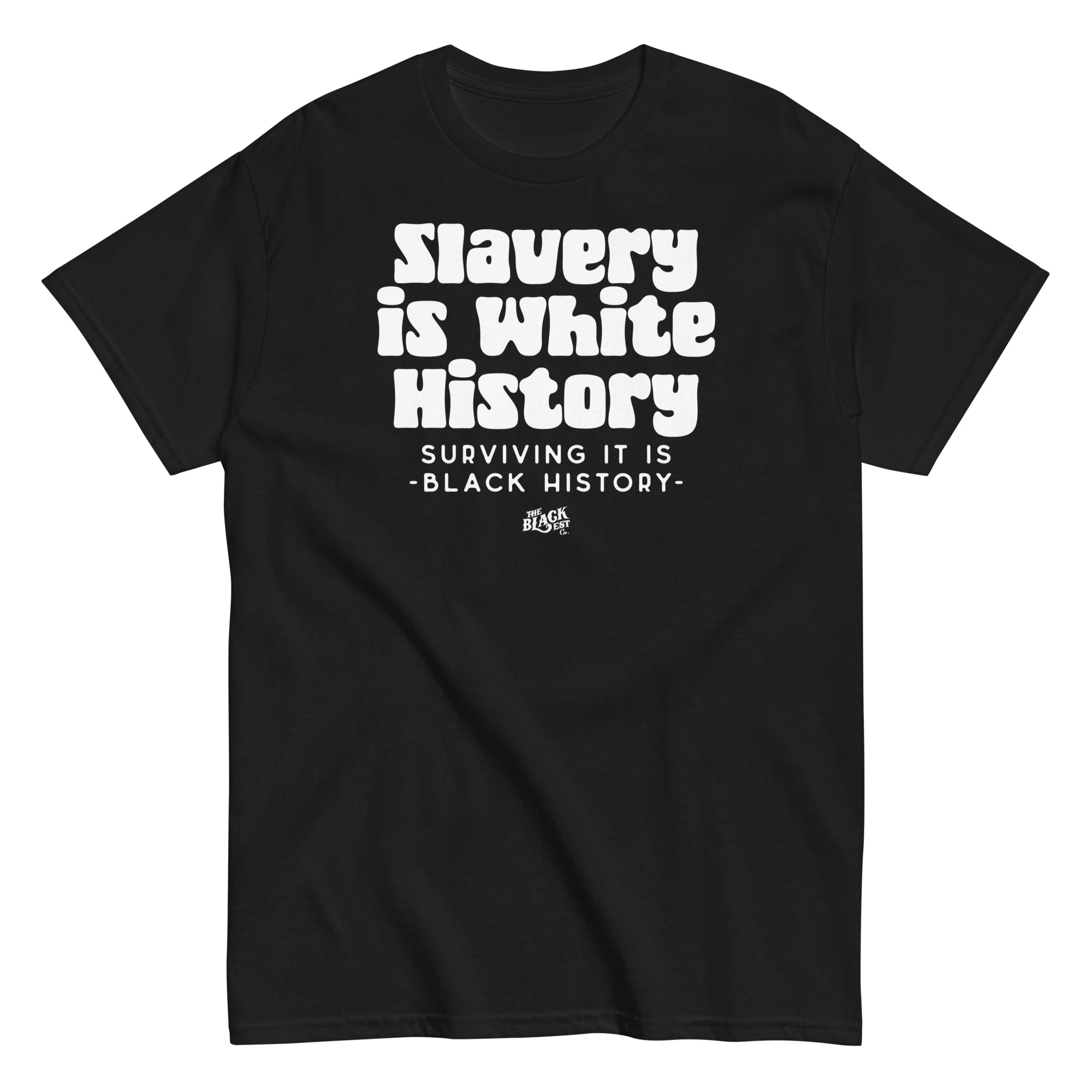 Slavery Is White History T-Shirt - ALLY VERSION - Image 2
