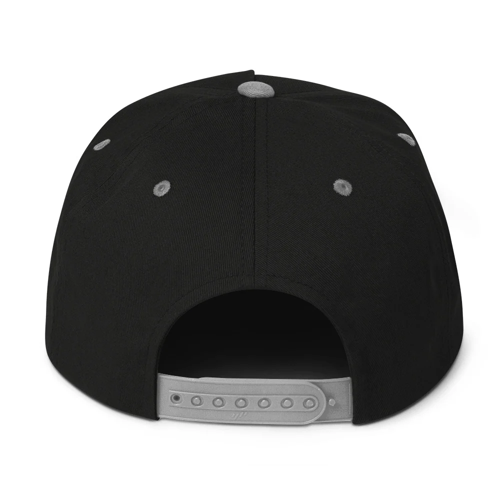 Double V Campaign Flat Bill Cap - Image 3