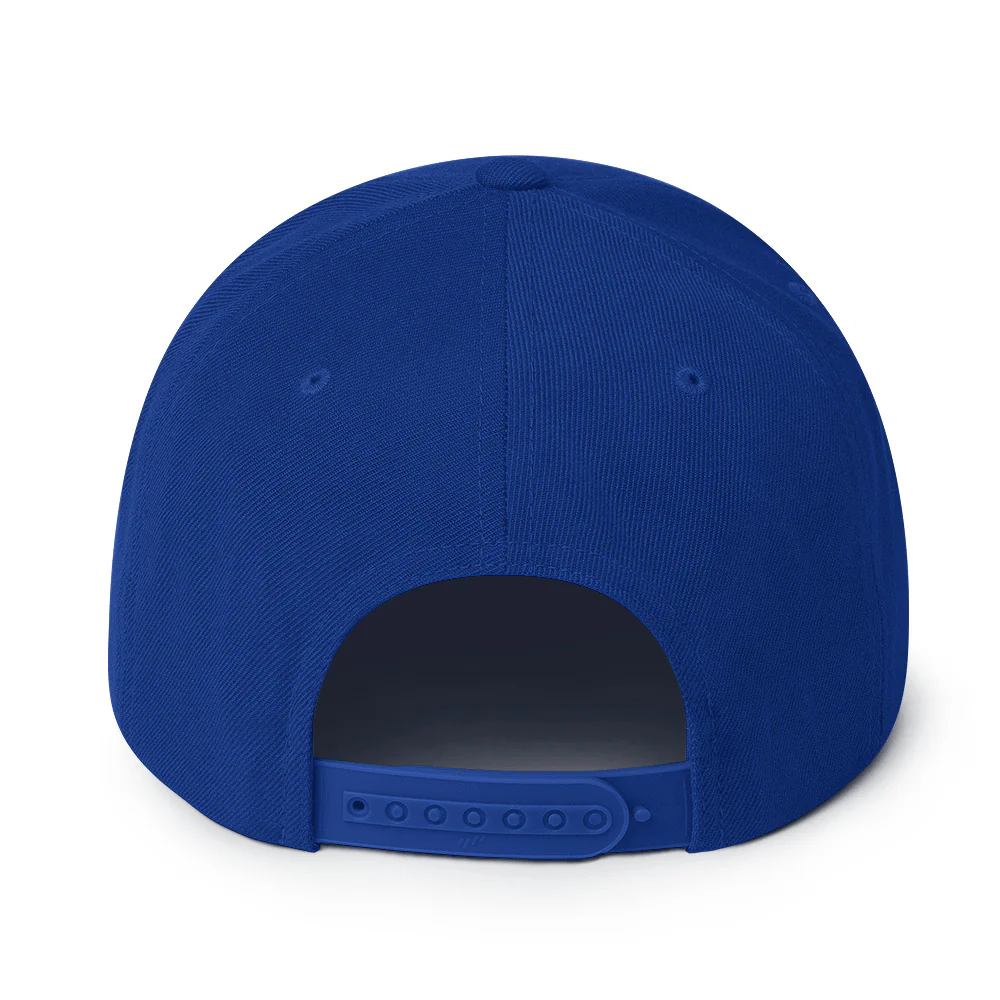 Harlem Hellfighters 369th Embroidery Snapback Hat - Image 11