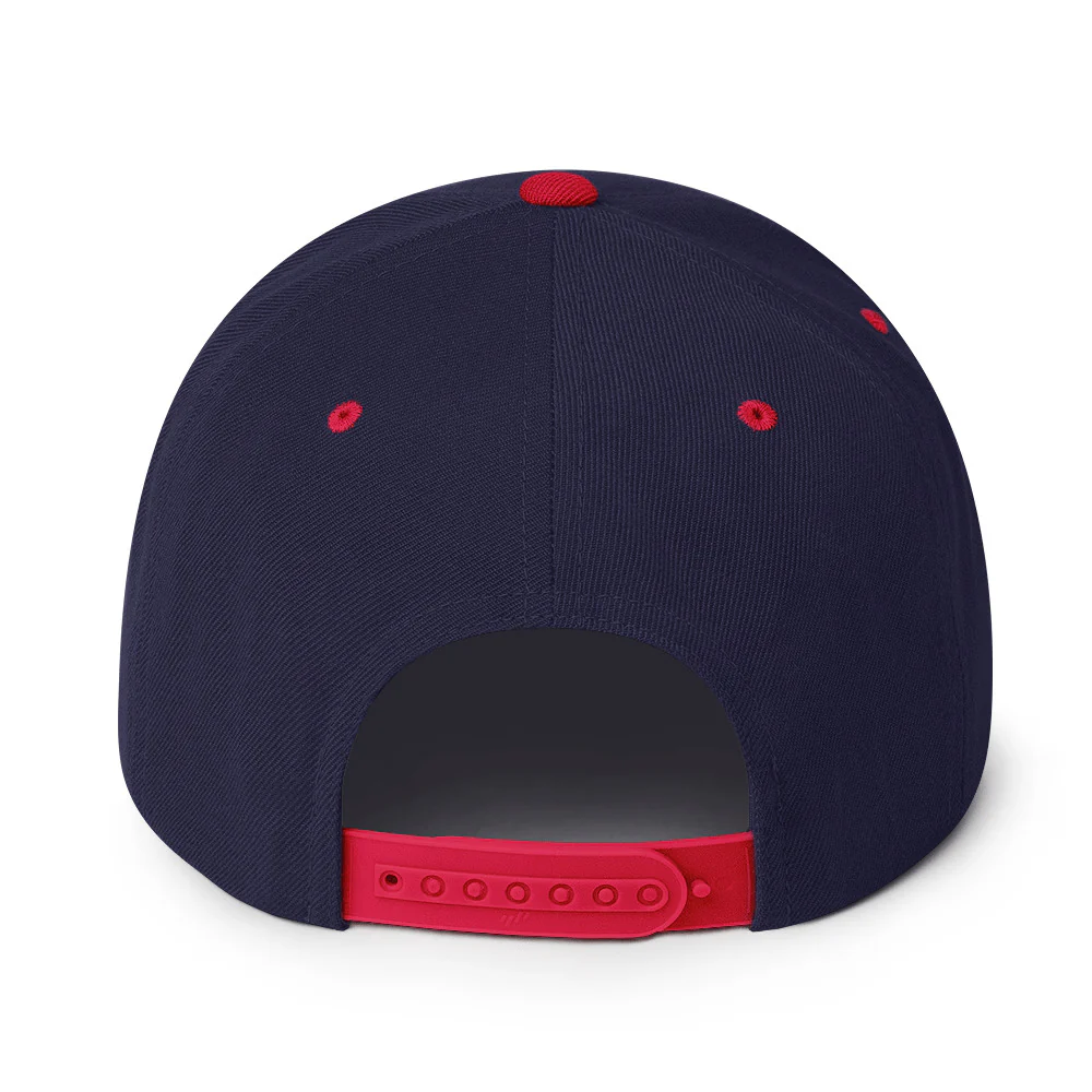 Harlem Hellfighters 369th Embroidery Snapback Hat - Image 14