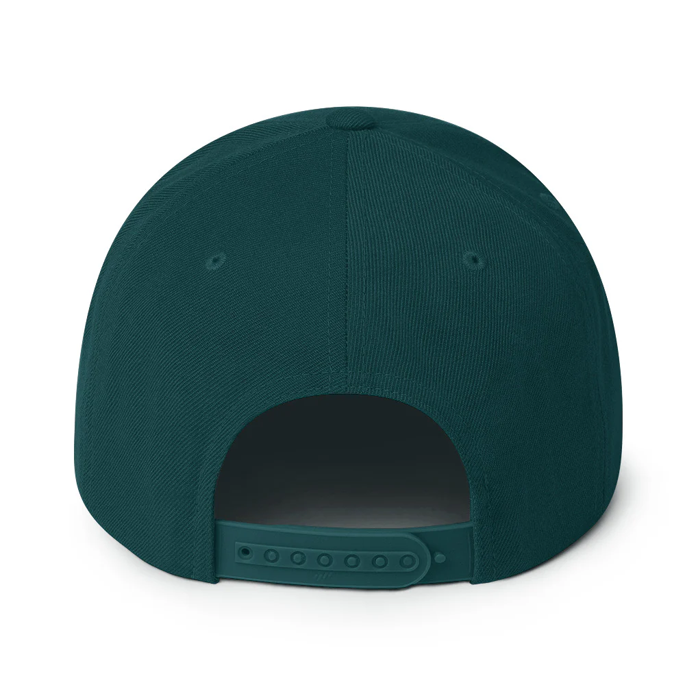 Harlem Hellfighters 369th Embroidery Snapback Hat - Image 17